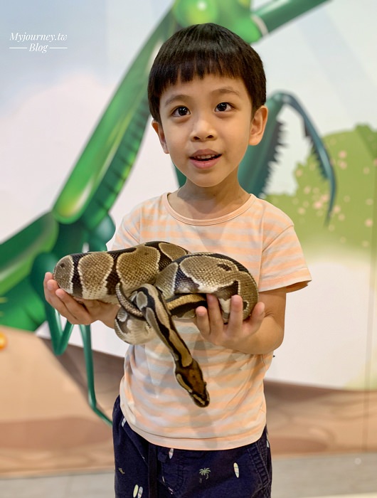 嘉義親子景點│推薦30個室內免費景點、嘉義農場，6條親子一日遊行程