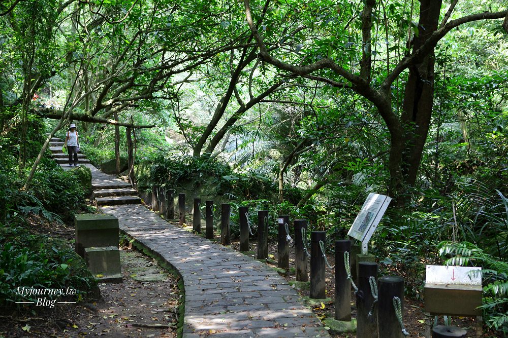 台北森林步道│推薦29條森林秘境、涼爽步道，台版歐洲山上景點