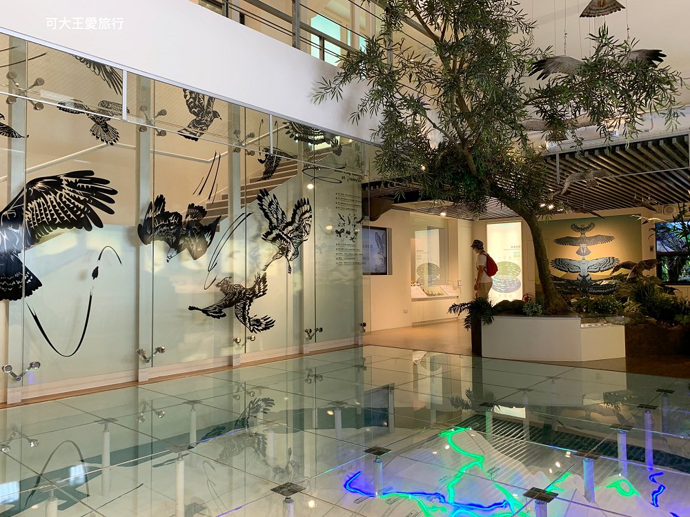 【2025最新】新北室內景點|雨天不怕!精選20個新北雨天景點 - 第26張圖 猛禽展示館_2