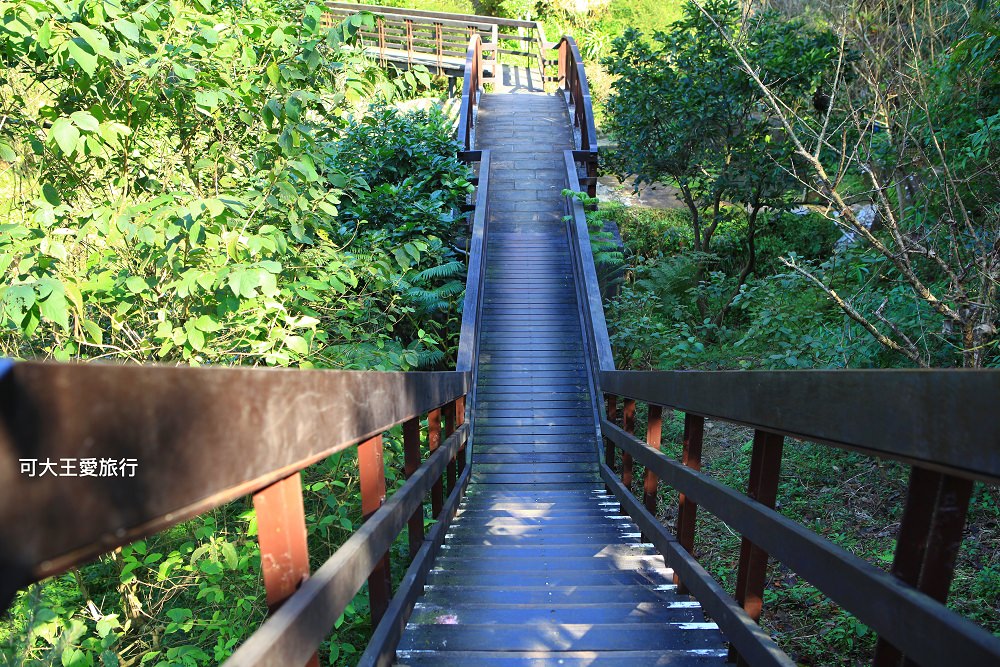 虎山步道 29