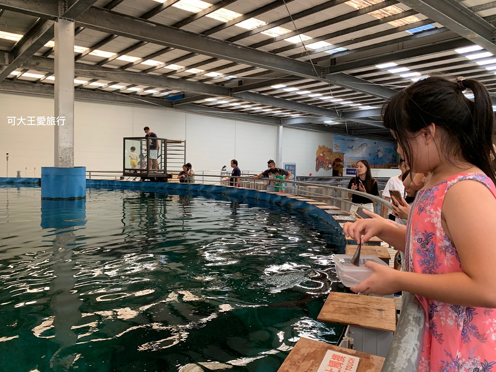 宜蘭景點》金車生技水產養殖研發中心，門票200元，室內遊戲室、餵鯊魚，迷你水族館