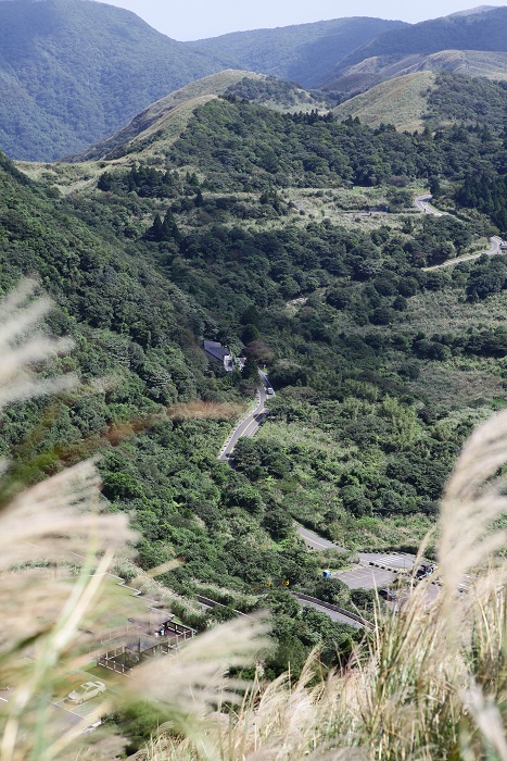 陽明山夢幻湖步道│國家級濕地秘境,新手步道親子友善 - 第8張圖