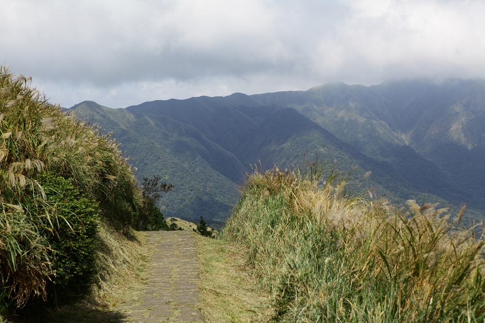 陽明山夢幻湖步道│國家級濕地秘境,新手步道親子友善 - 第12張圖