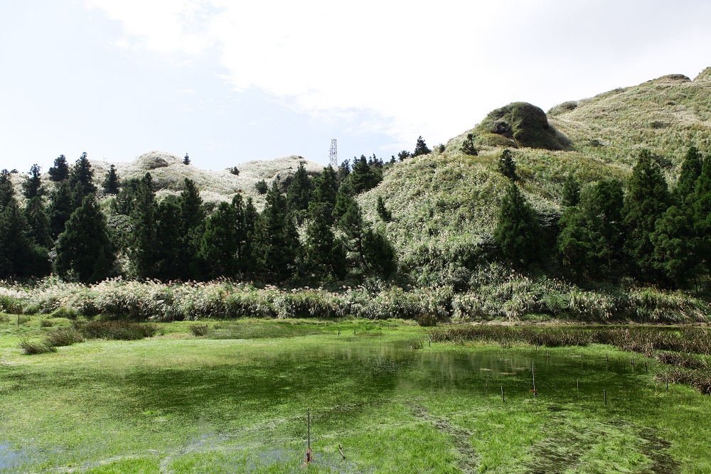 陽明山夢幻湖步道│國家級濕地秘境,新手步道親子友善 - 第16張圖