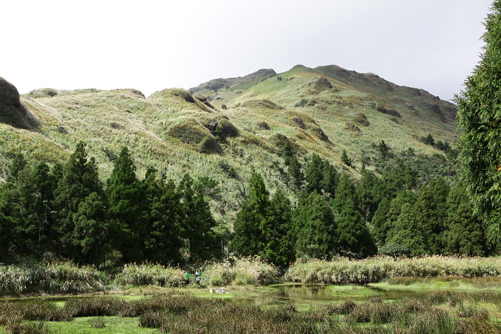 陽明山夢幻湖步道│國家級濕地秘境,新手步道親子友善 - 第15張圖