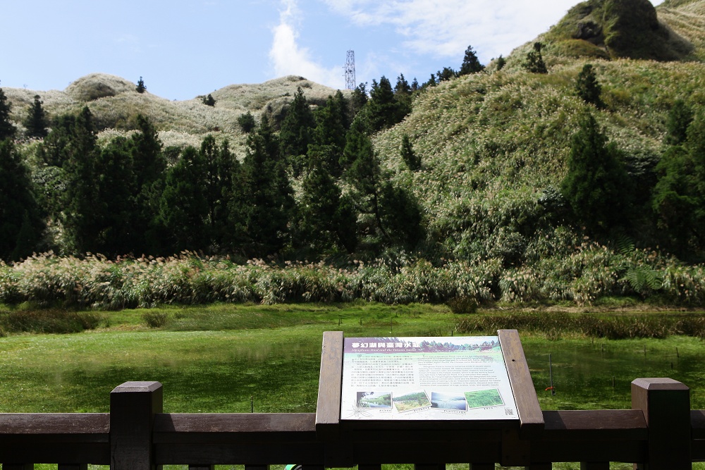 陽明山夢幻湖步道│國家級濕地秘境,新手步道親子友善 - 第14張圖