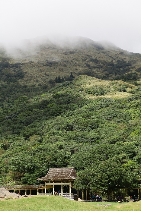 陽明山夢幻湖步道│國家級濕地秘境,新手步道親子友善 - 第23張圖