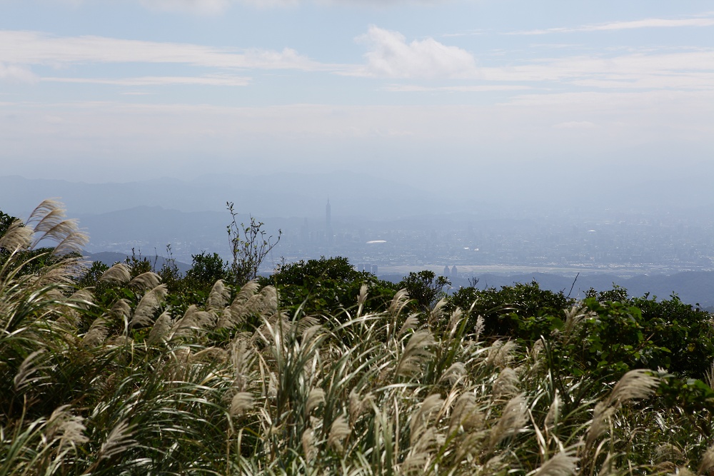 陽明山夢幻湖步道│國家級濕地秘境,新手步道親子友善 - 第20張圖