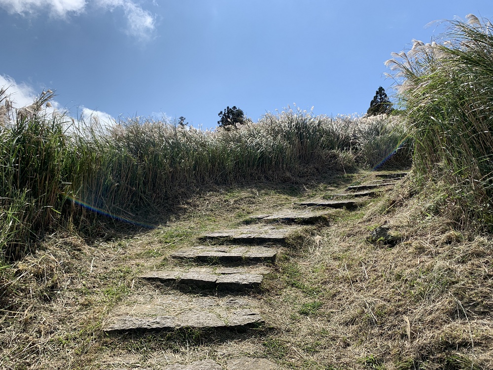 陽明山夢幻湖步道│國家級濕地秘境,新手步道親子友善 - 第4張圖
