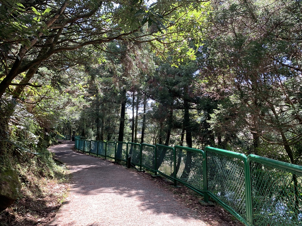 陽明山夢幻湖步道│國家級濕地秘境,新手步道親子友善 - 第13張圖