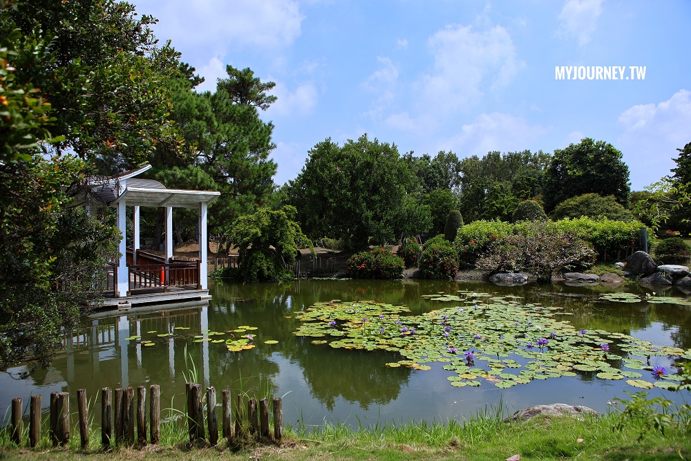 萬景藝苑x彎彎滑森樂園│小動物、室內樂園,彰化最划算200元景點 - 第5張圖