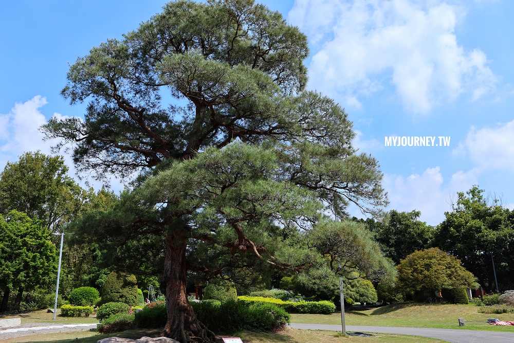 萬景藝苑x彎彎滑森樂園│小動物、室內樂園,彰化最划算200元景點 - 第8張圖