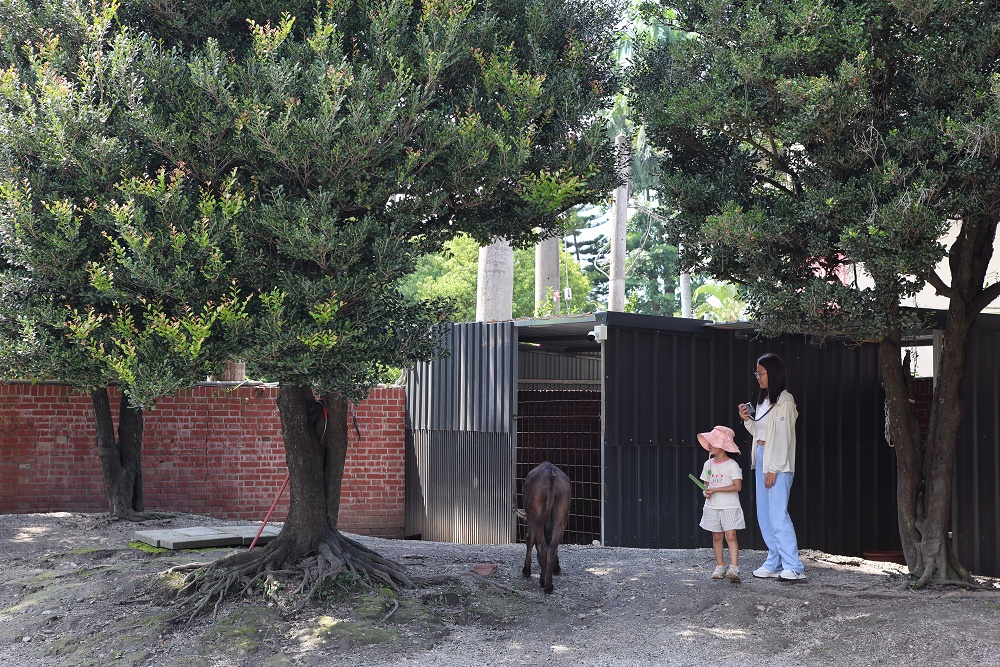 萬景藝苑x彎彎滑森樂園│小動物、室內樂園,彰化最划算200元景點 - 第19張圖