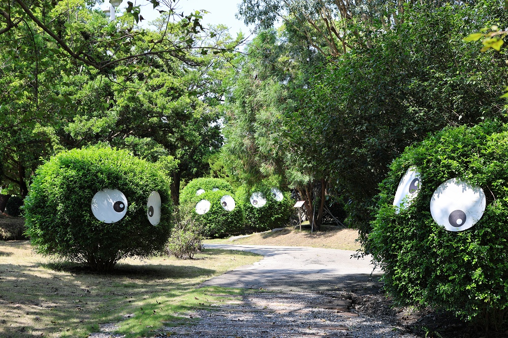 萬景藝苑x彎彎滑森樂園│小動物、室內樂園,彰化最划算200元景點 - 第7張圖
