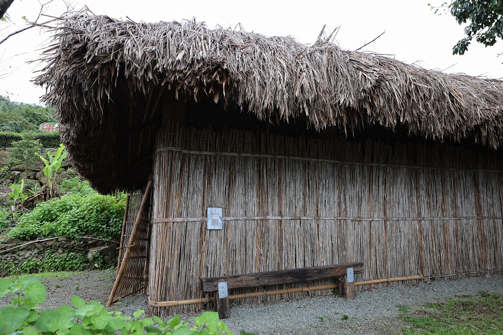 優遊吧斯│茶園美景、歌舞表演、門票抵換咖啡，阿里山必玩景點