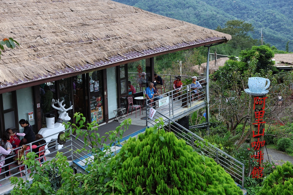 優遊吧斯│茶園美景、歌舞表演、門票抵換咖啡，阿里山必玩景點