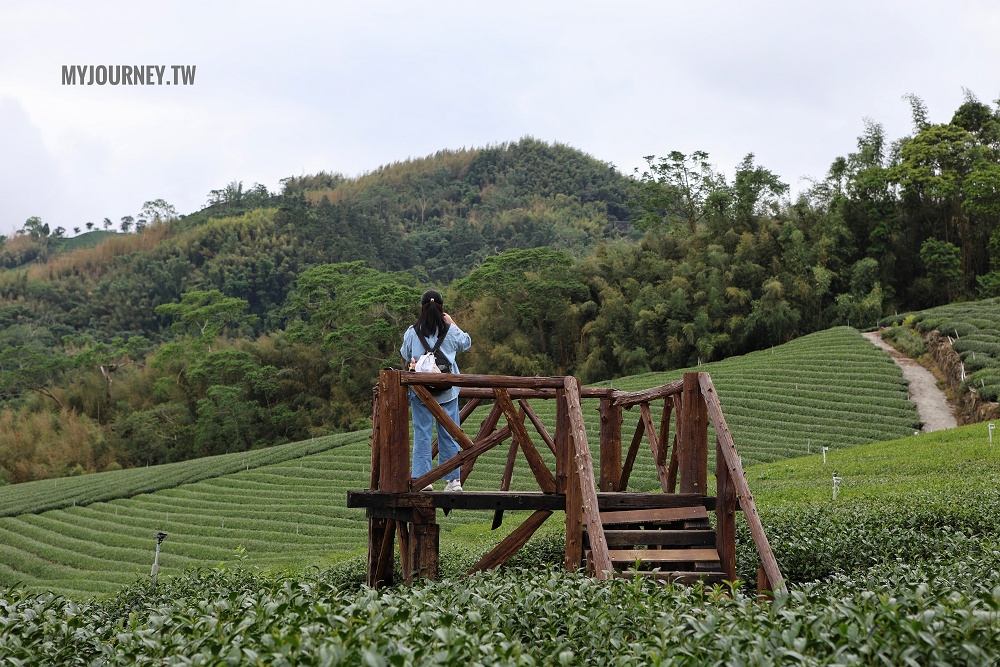 優遊吧斯│茶園美景、歌舞表演、門票抵換咖啡，阿里山必玩景點