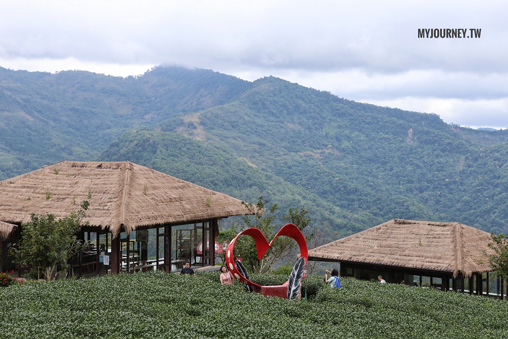 優遊吧斯│茶園美景、歌舞表演、門票抵換咖啡，阿里山必玩景點