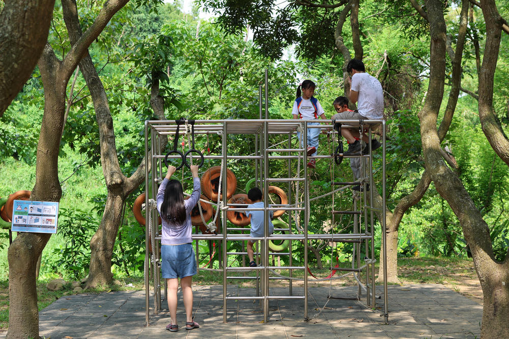 嘉義民雄金桔觀光工廠│免門票，隱藏版森林遊戲場，樹屋溜滑梯、溜索玩到瘋
