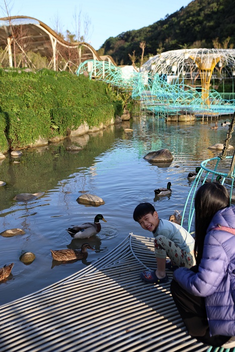 亮山川休閒農場│夏天玩水、烤肉,秋冬吃火鍋,新北最美最好玩農場 - 第48張圖 亮山川休閒農場│夏天玩水、烤肉,秋冬吃火鍋,新北最美最好玩農場