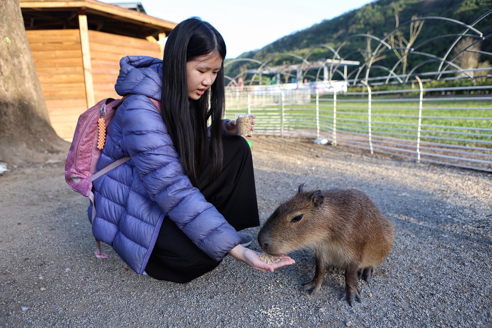 亮山川休閒農場│夏天玩水、烤肉,秋冬吃火鍋,新北最美最好玩農場 - 第50張圖 亮山川休閒農場│夏天玩水、烤肉,秋冬吃火鍋,新北最美最好玩農場