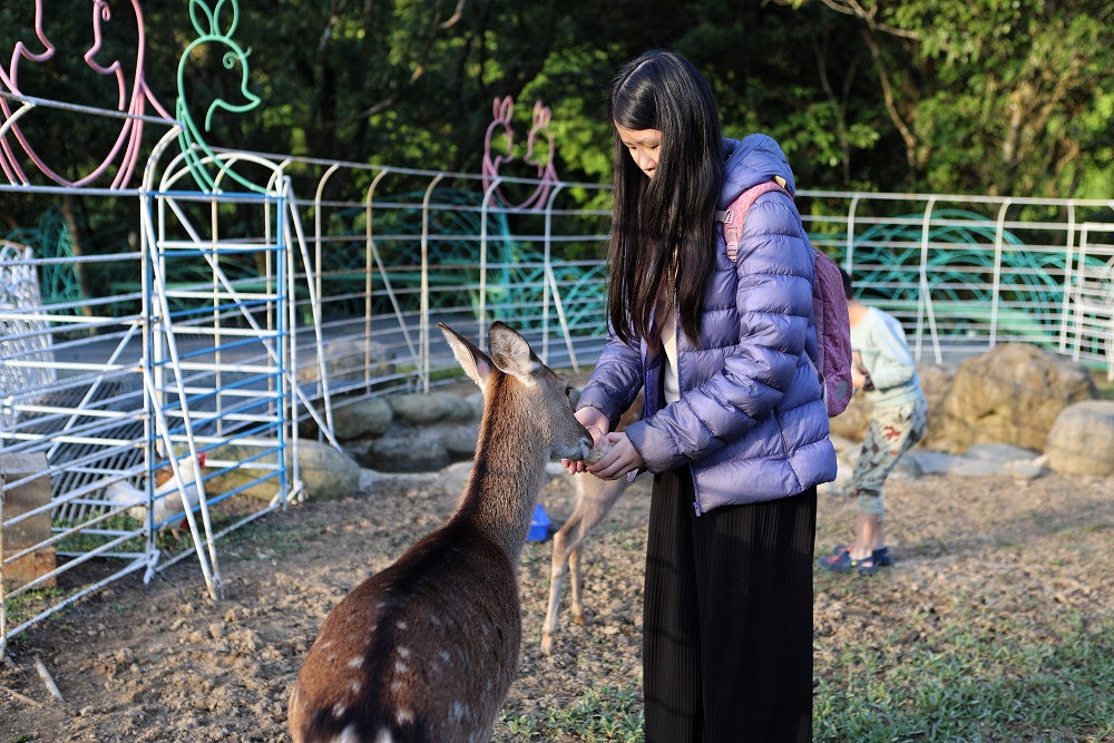 亮山川休閒農場│夏天玩水、烤肉,秋冬吃火鍋,新北最美最好玩農場 - 第51張圖 亮山川休閒農場│夏天玩水、烤肉,秋冬吃火鍋,新北最美最好玩農場