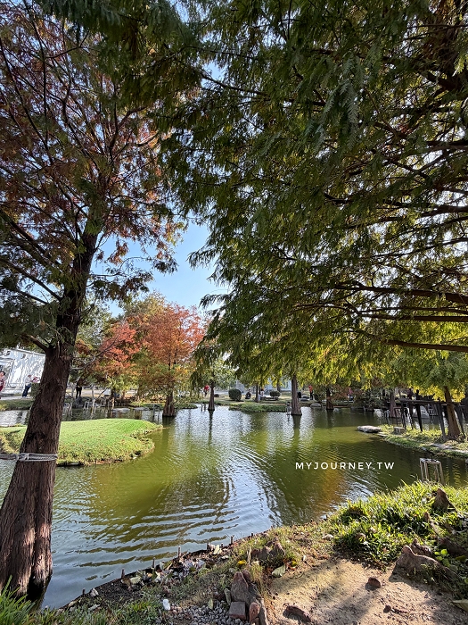 澄霖沉香味道森林館│水教堂、可愛動物，台版兼六園落羽松庭院