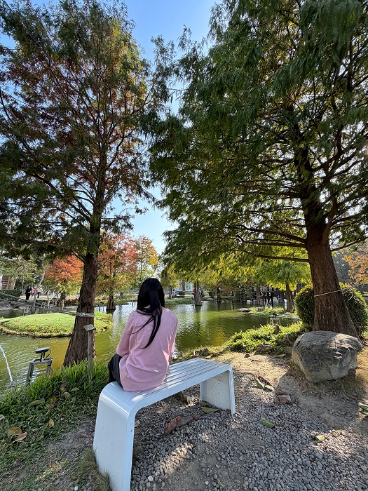 澄霖沉香味道森林館│水教堂、可愛動物，台版兼六園落羽松庭院