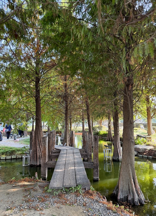澄霖沉香味道森林館│水教堂、可愛動物，台版兼六園落羽松庭院