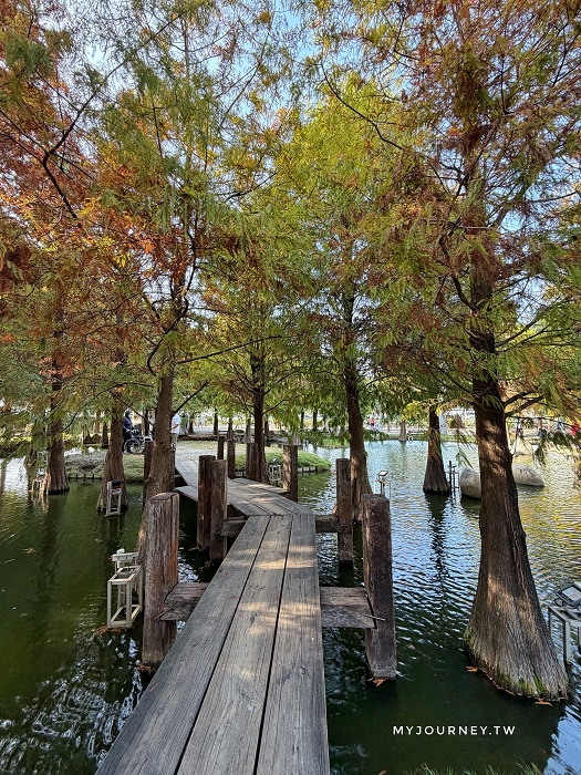 澄霖沉香味道森林館│水教堂、可愛動物，台版兼六園落羽松庭院