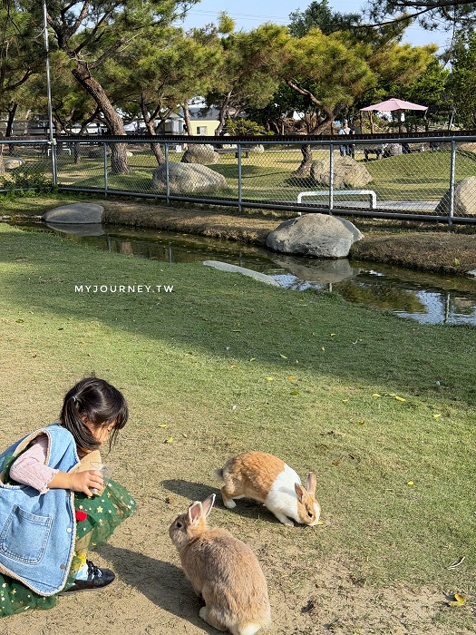 澄霖沉香味道森林館│水教堂、可愛動物，台版兼六園落羽松庭院