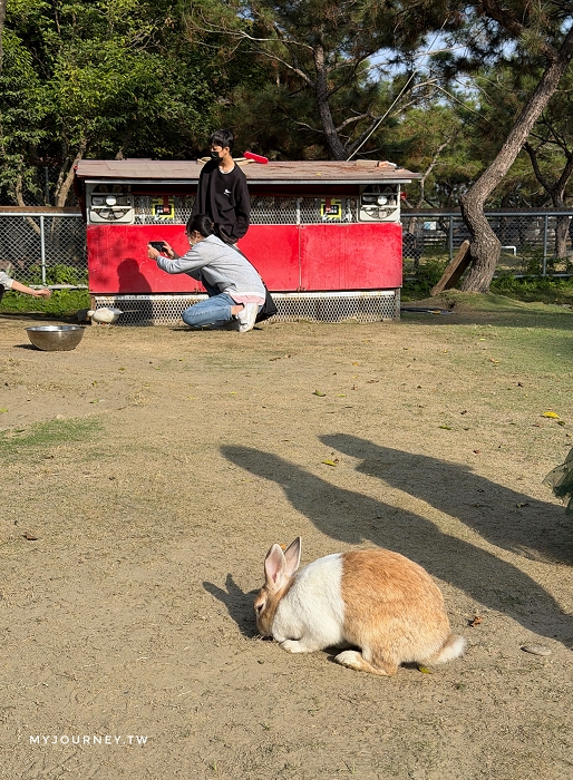 澄霖沉香味道森林館│水教堂、可愛動物，台版兼六園落羽松庭院