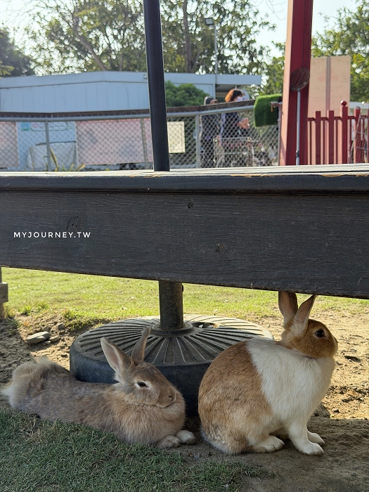 澄霖沉香味道森林館│水教堂、可愛動物，台版兼六園落羽松庭院