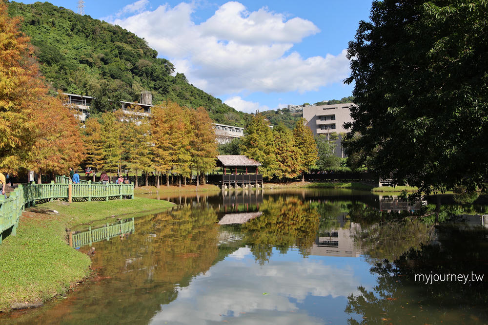 士林落羽松景點│原住民文化主題公園，免門票，故宮旁的天空之鏡