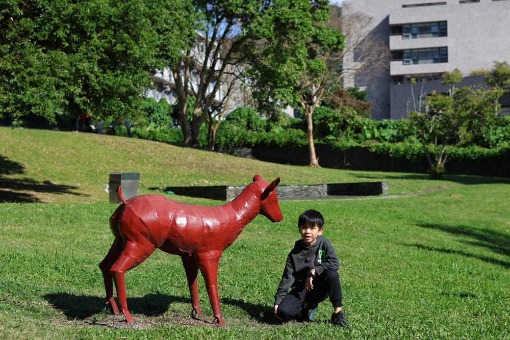 士林落羽松景點│原住民文化主題公園，免門票，故宮旁的天空之鏡