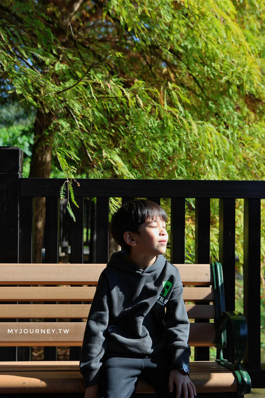 士林落羽松景點│原住民文化主題公園，免門票，故宮旁的天空之鏡