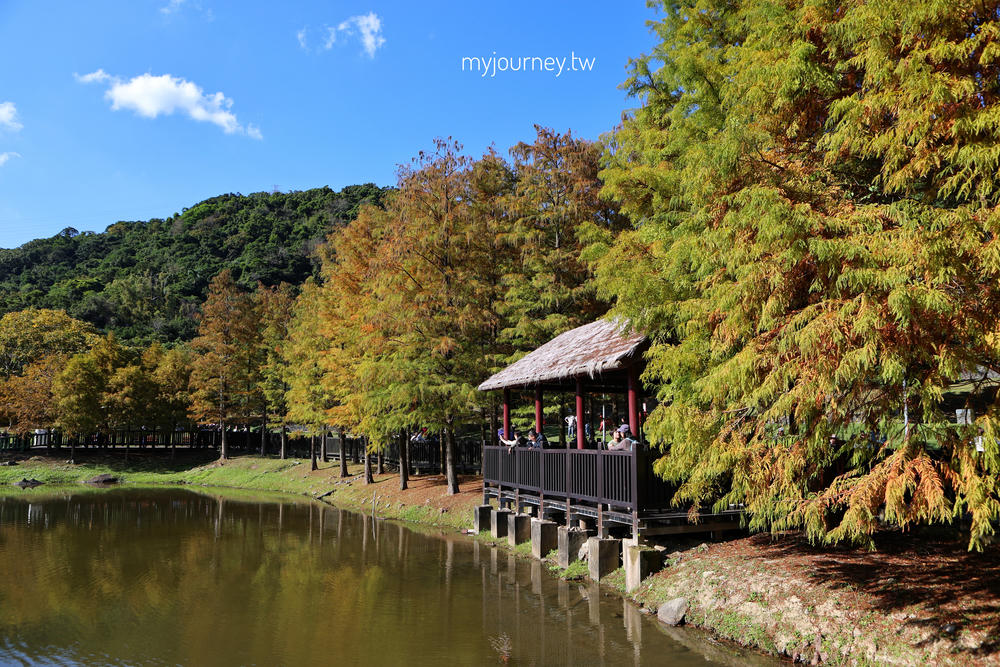 士林落羽松景點│原住民文化主題公園，免門票，故宮旁的天空之鏡