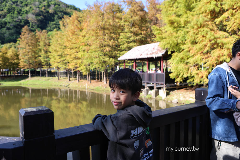 士林落羽松景點│原住民文化主題公園，免門票，故宮旁的天空之鏡