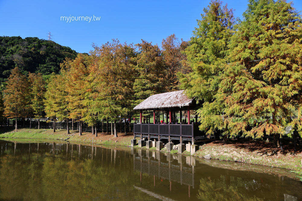 士林落羽松景點│原住民文化主題公園，免門票，故宮旁的天空之鏡