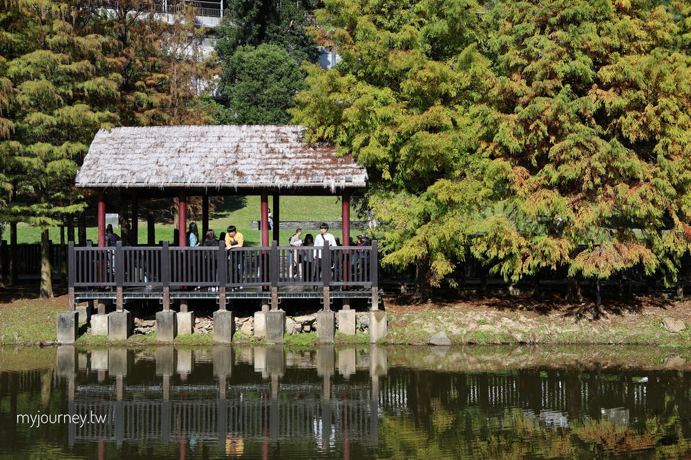 士林落羽松景點│原住民文化主題公園，免門票，故宮旁的天空之鏡