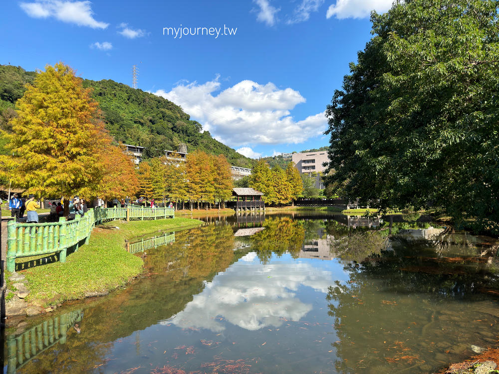士林落羽松景點│原住民文化主題公園，免門票，故宮旁的天空之鏡