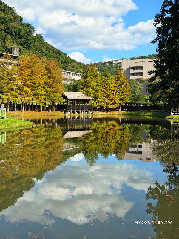 士林落羽松景點│原住民文化主題公園，免門票，故宮旁的天空之鏡