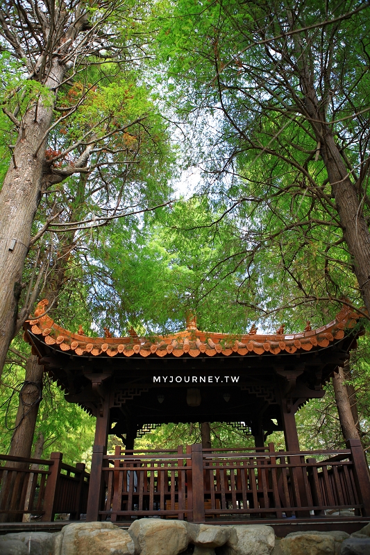 苗栗品園日式花園│頭份最美落羽松，孔雀鳥園，7000坪庭院免費參觀