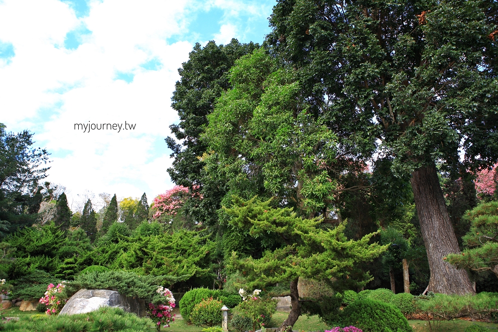 苗栗品園日式花園│頭份最美落羽松，孔雀鳥園，7000坪庭院免費參觀