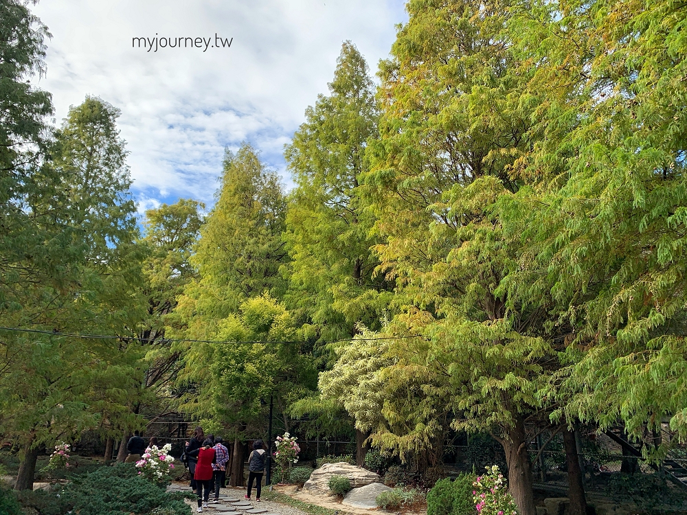 苗栗品園日式花園│頭份最美落羽松，孔雀鳥園，7000坪庭院免費參觀