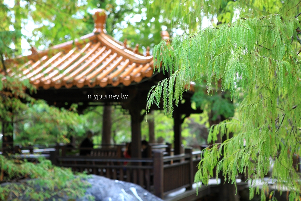 苗栗品園日式花園│頭份最美落羽松，孔雀鳥園，7000坪庭院免費參觀