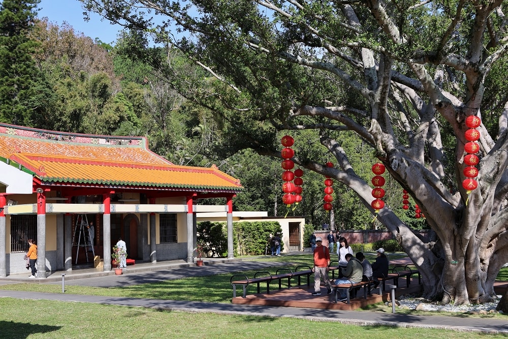 北投行天宮落羽松｜圖書館旁的緋紅庭園，落羽松貼臉，簡直韓劇場景