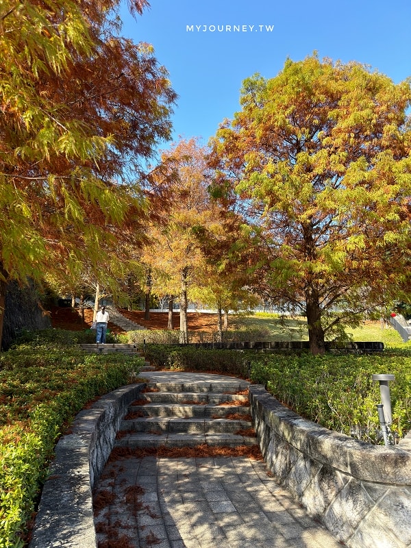 北投行天宮落羽松｜圖書館旁的緋紅庭園，落羽松貼臉，簡直韓劇場景