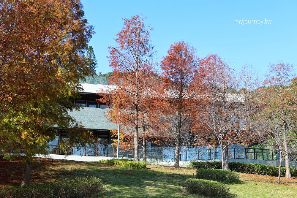 北投行天宮落羽松｜圖書館旁的緋紅庭園，落羽松貼臉，簡直韓劇場景