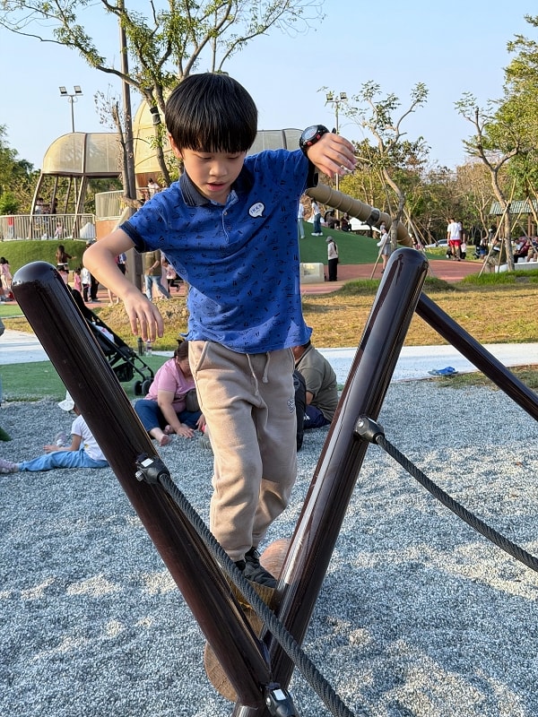 新埤貓頭鷹公園│8公尺貓頭鷹遊戲塔，動物列車，屏東最新景點